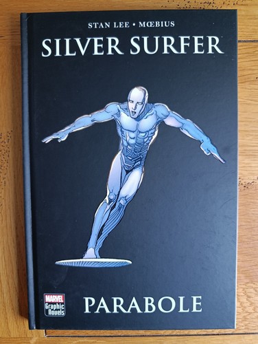 Silver surfer parabole - silver,
