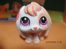 Petshop Lapin Bélier #1304