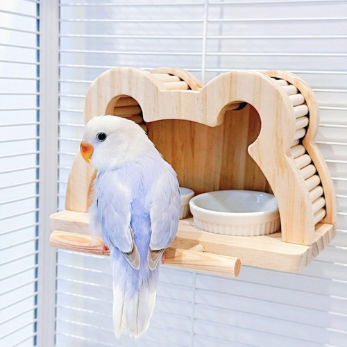 Mangeoires pour oiseaux bols - mangeoires, oiseaux,