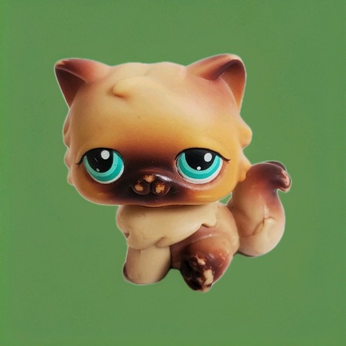 Lps chat persan - lps, –