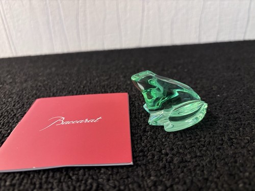 Grenouille couleur verte
