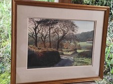 Très belle aquarelle signée/encadrée / Artiste bien coté Noel Shepherdson '85