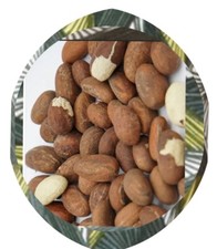 NOIX DE PETIT COLA  - 29 COLA