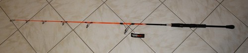 Canne spinning ioda slow - canne,