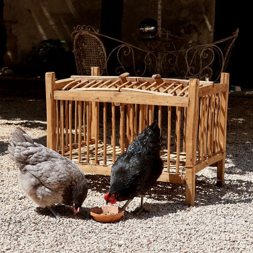 Cage poules ancienne tout - poules,