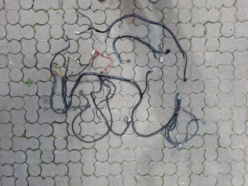 Faisceaux vespa cosa - faisceaux, 2