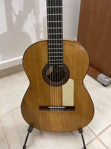 Guitare flamenca modesto - guitare,