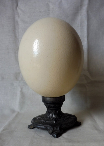 Oeuf autruche support - ,,