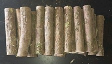 Lot bois d’IF Tournage