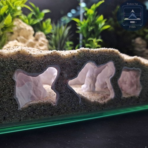 Catacombs hollow aquarium - catacombs,