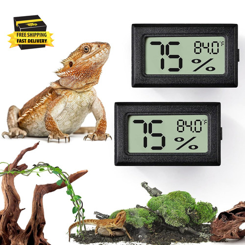 Bearded dragon tank - bearded,