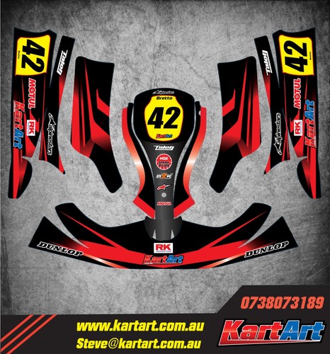 Birel x30 kart - go, full