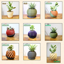 Pot de fleurs / Jardinières