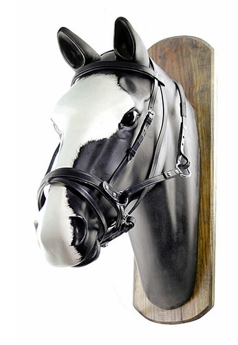 Harnais cheval sans mors en - de,