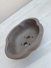 Bonsai Pot 6x5 Lutus , Shohin