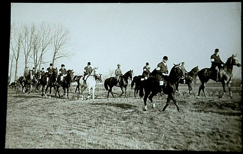 49588 cavalier avec - avec, chevaux