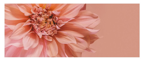 Photo ikea bjorksta fleurs - photo,
