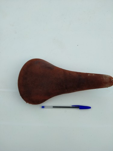 Selle vélo - selle,