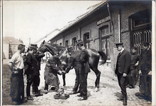 France, Military, Marshal-Ferrant with a Cavalry Horse, Vintage Silver 