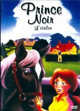 Prince noir l'étalon -  - V446179