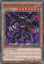 Yu-Gi-Oh! Dragon d'Évaporation Ultime des Ténèbres : C INFO-FR011