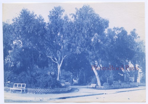 France menton les eucalyptus - menton,