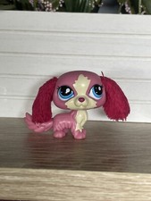 💖🌺Petshop chien King