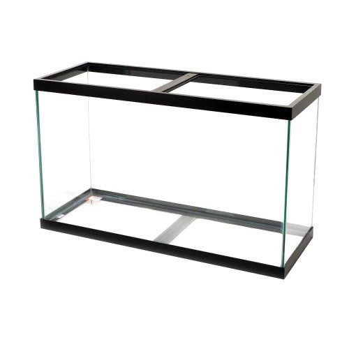 Used aquarium fish - used,