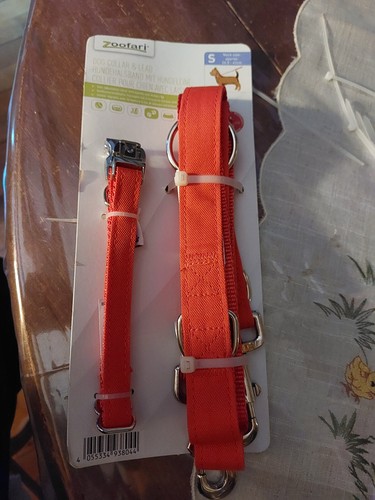 Laisse pour chien avec collier - chien,