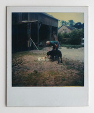 Chiens homme garage bois