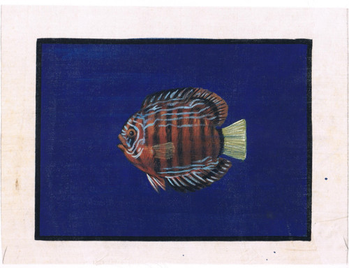 Peinture artisanale poisson - peinture,