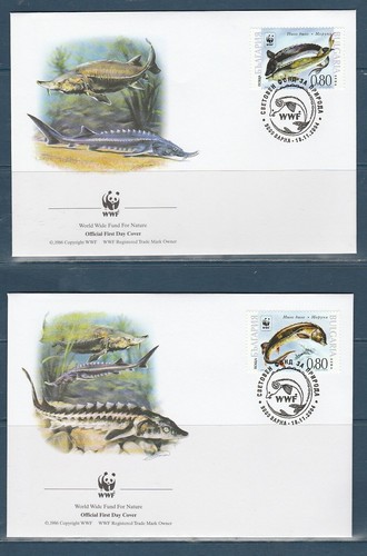 Wwf bulgarie faune vie marine - faune,