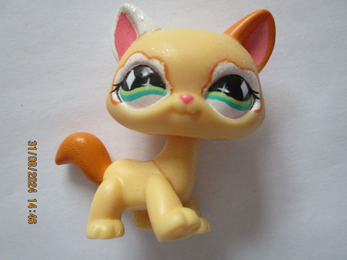 Petshop chat maine - petshop,