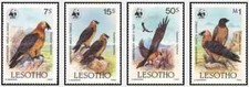 Timbres Oiseaux Rapaces