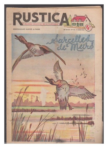 Rustica 1947 10 - 1947, lapin