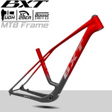 BXT 29er Carbon Fiber Mountain