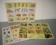 3 Old School Images PLANK A. Arnaud 1951 Animal Anatomy