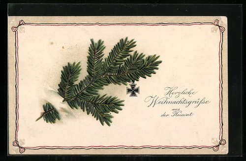Carte postale branche sapin - carte,