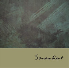 Harry Bertoia Glowing Sounds