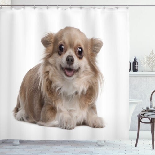 Chihuahua rideau douche - chihuahua,