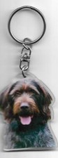 DRATHAAR  Porte clés chien /