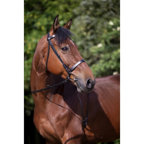 Bridon riding world muserolle - bridon,