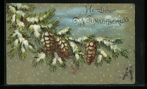 Carte postale branche sapin - carte, de