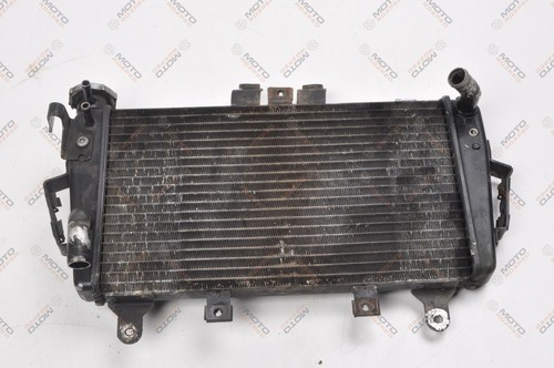 Triumph tiger 1050 radiateur - 1050,