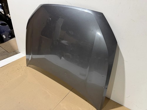 Audi capot 2021 - ga,
