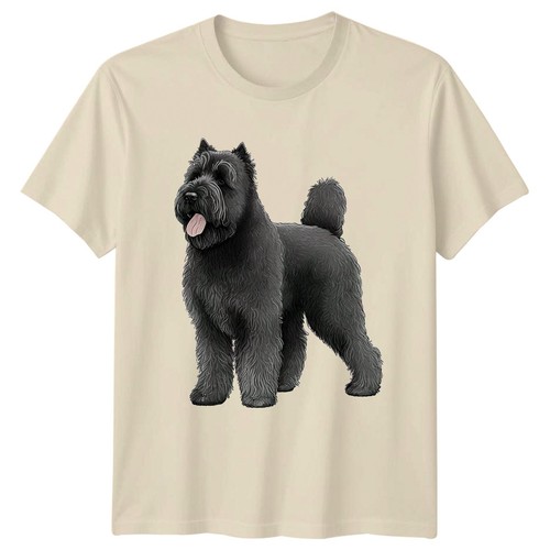 Bouvier des flandres - des,