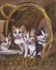 Quatre Chatons Blancs dans un