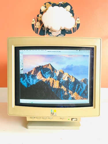 Formac pronitron display - 80.19,