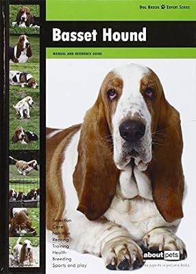 Basset hound dog breed expert - basset,