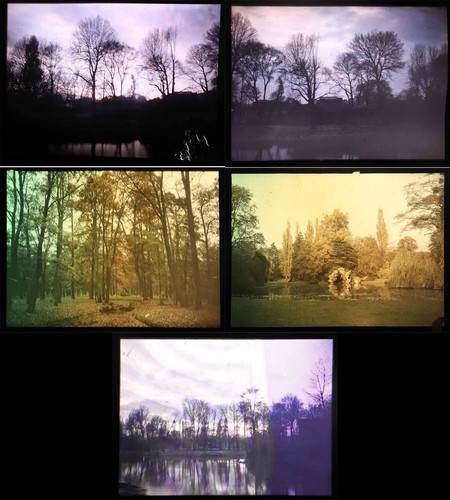 Photographies autochromes - , 5